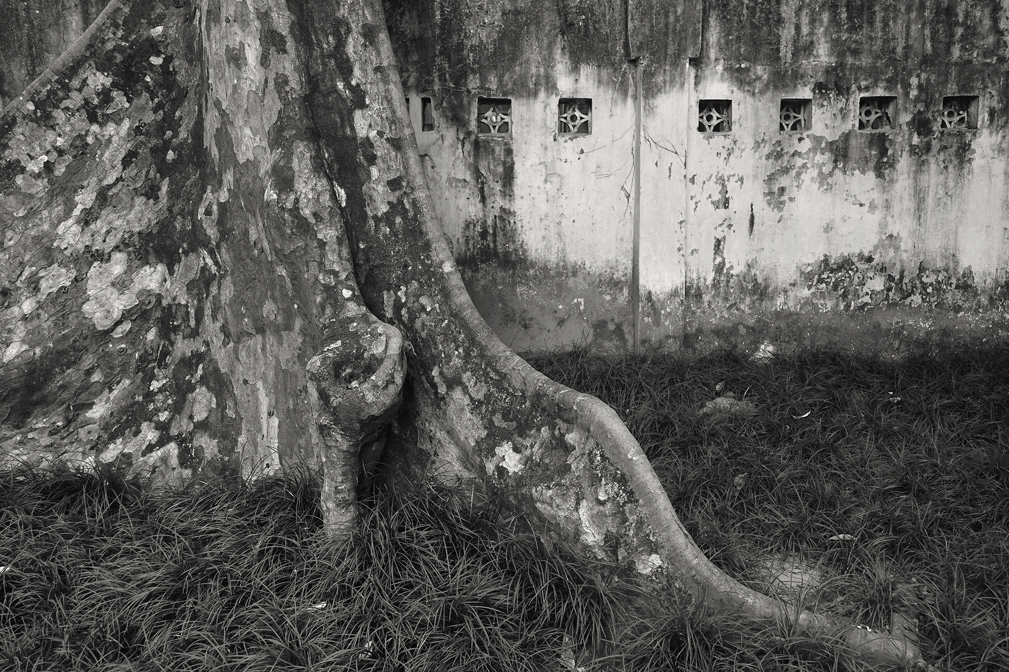 Christoph Radke, Vietnam, Hanoi, Botansicher Garten, 2018